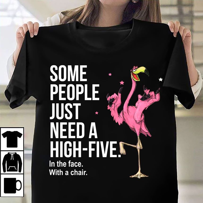Some people just need a high-five in the face with a chair - Flamingo lover