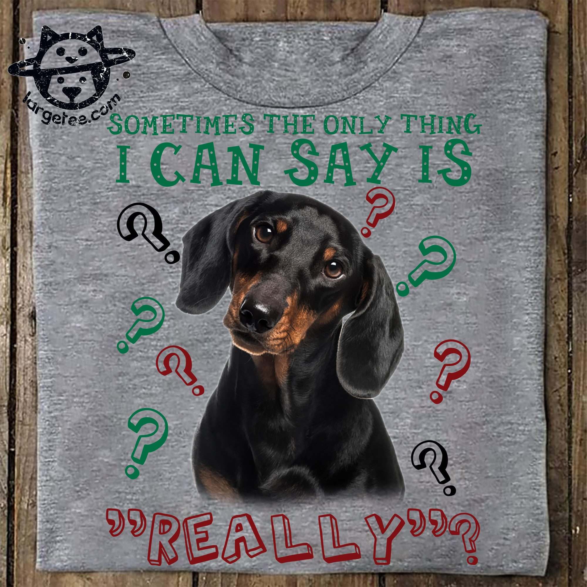 Sometimes the only thing I can say is really - Curious Dachshund