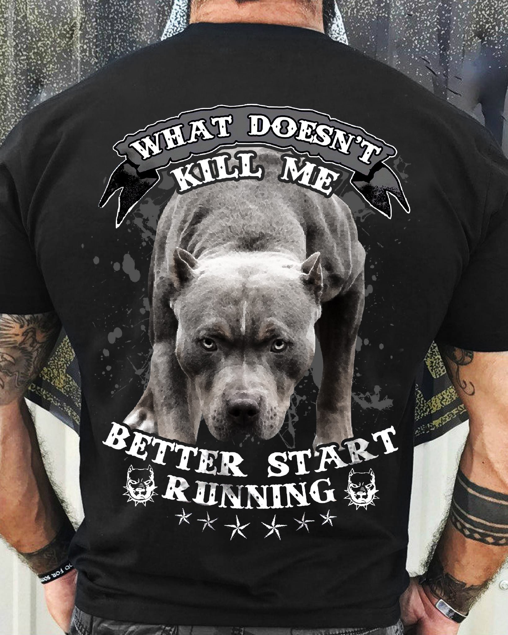 What doesn't kill me better start running - Pitbull dog, dog lover