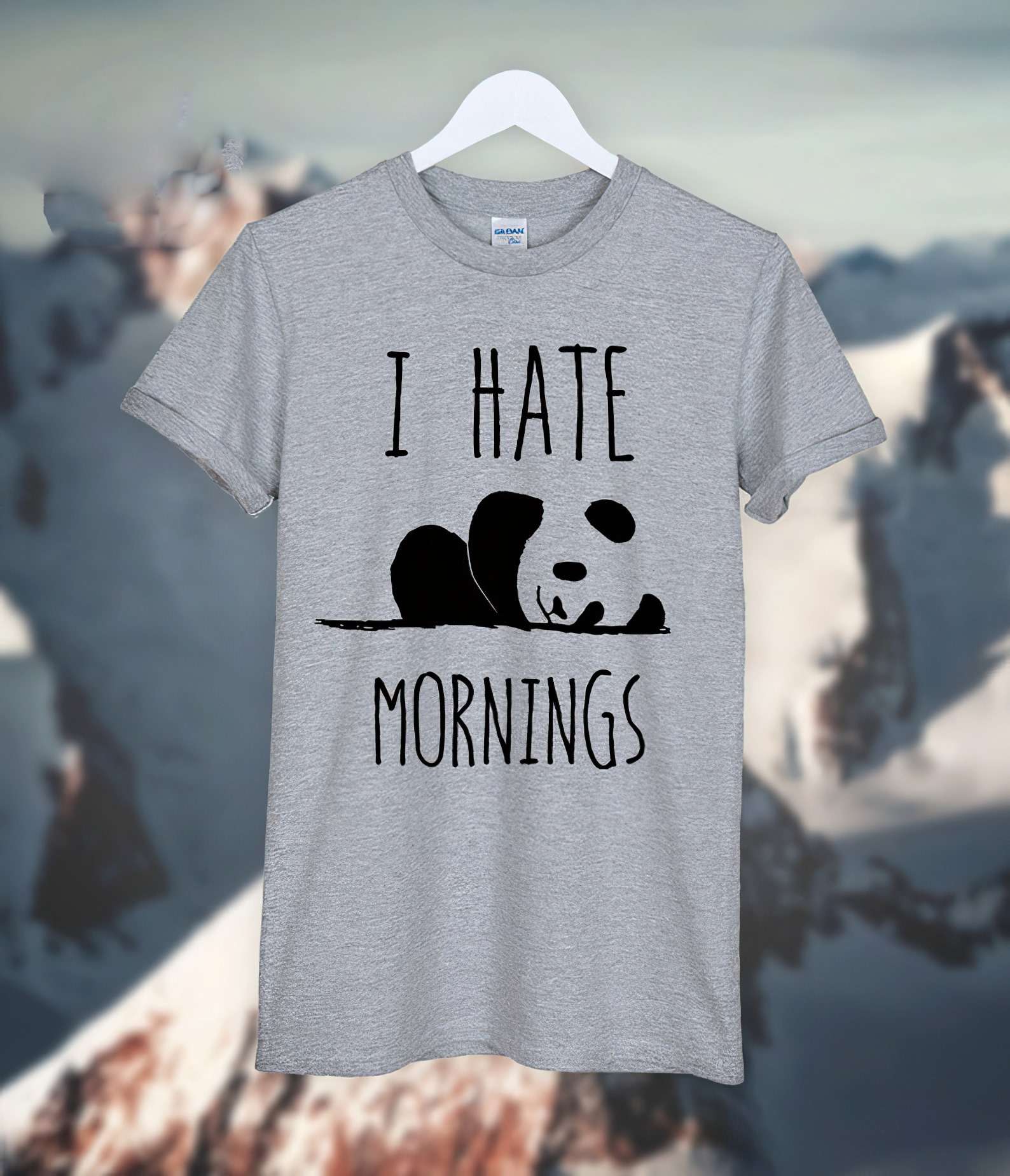 Sleeping Panda - I hate mornigs
