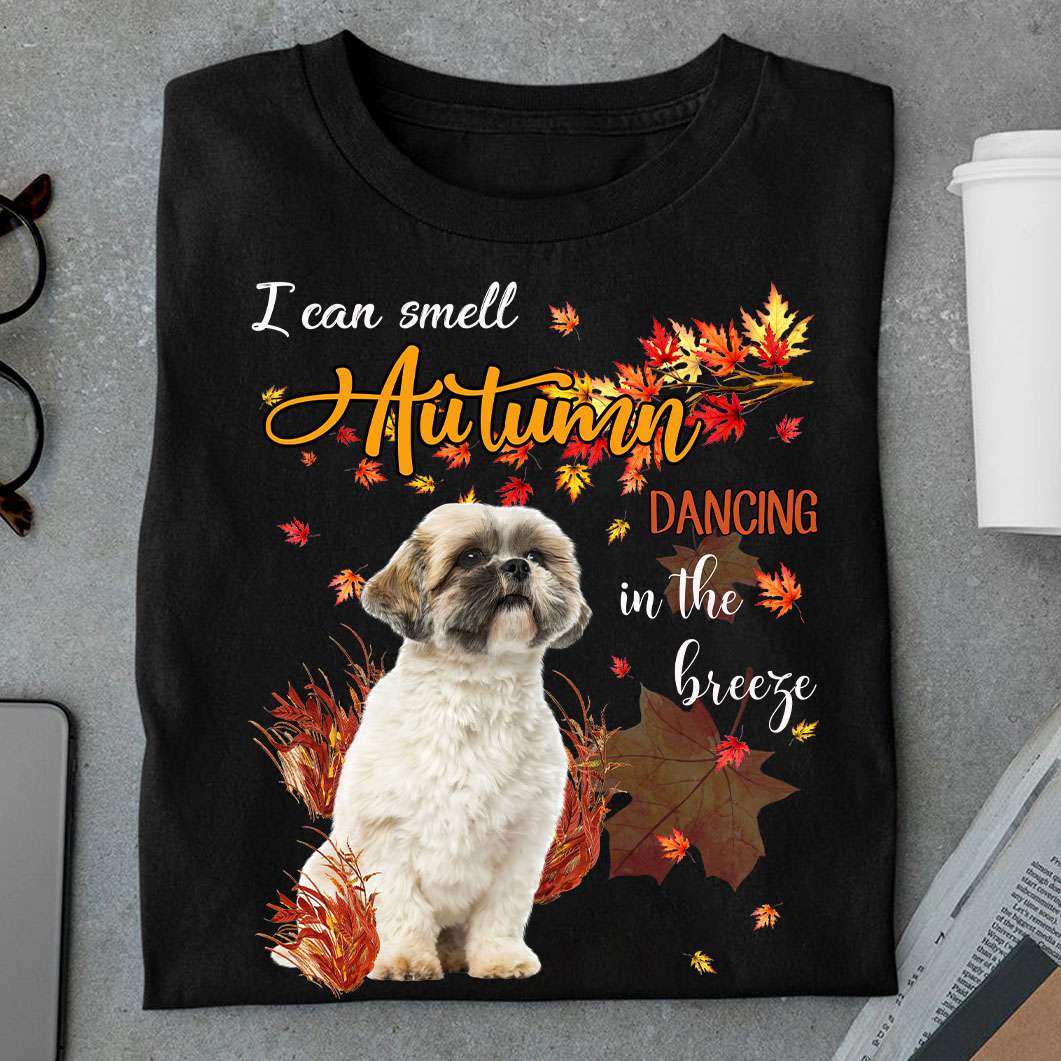 Shih Tzu Dog - I can smell autumn dancing in the breeze