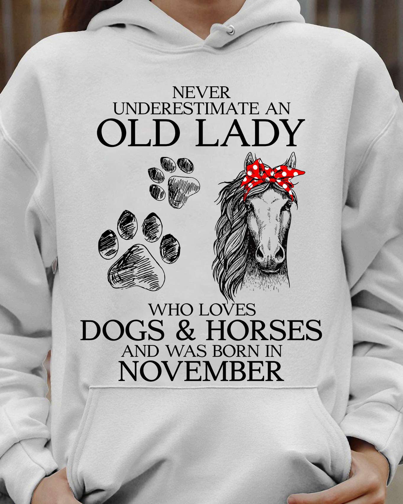 Dog Horse, November Birthday Girl - Never inderestimate an old lady who loves dogs and horses and was born in november