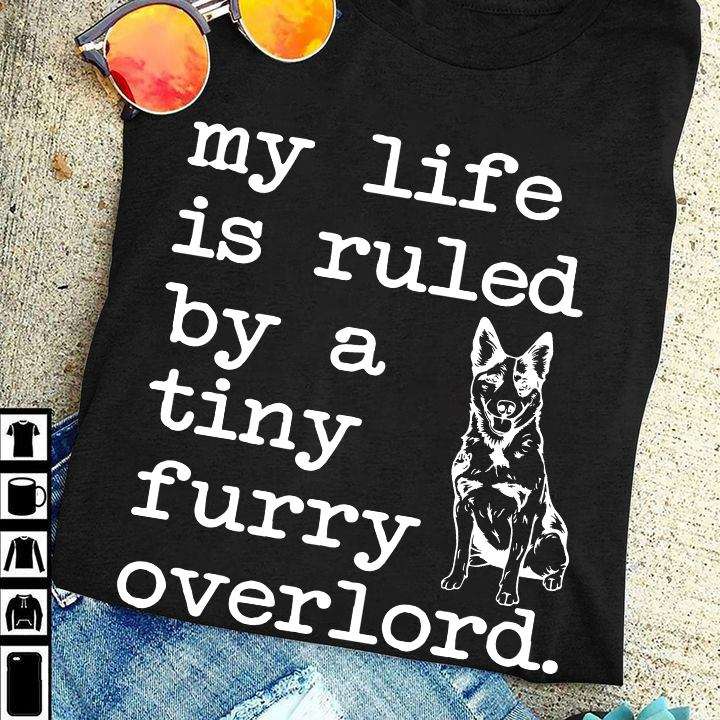 German Shepherd - My life is ruled by a tiny furry overlord