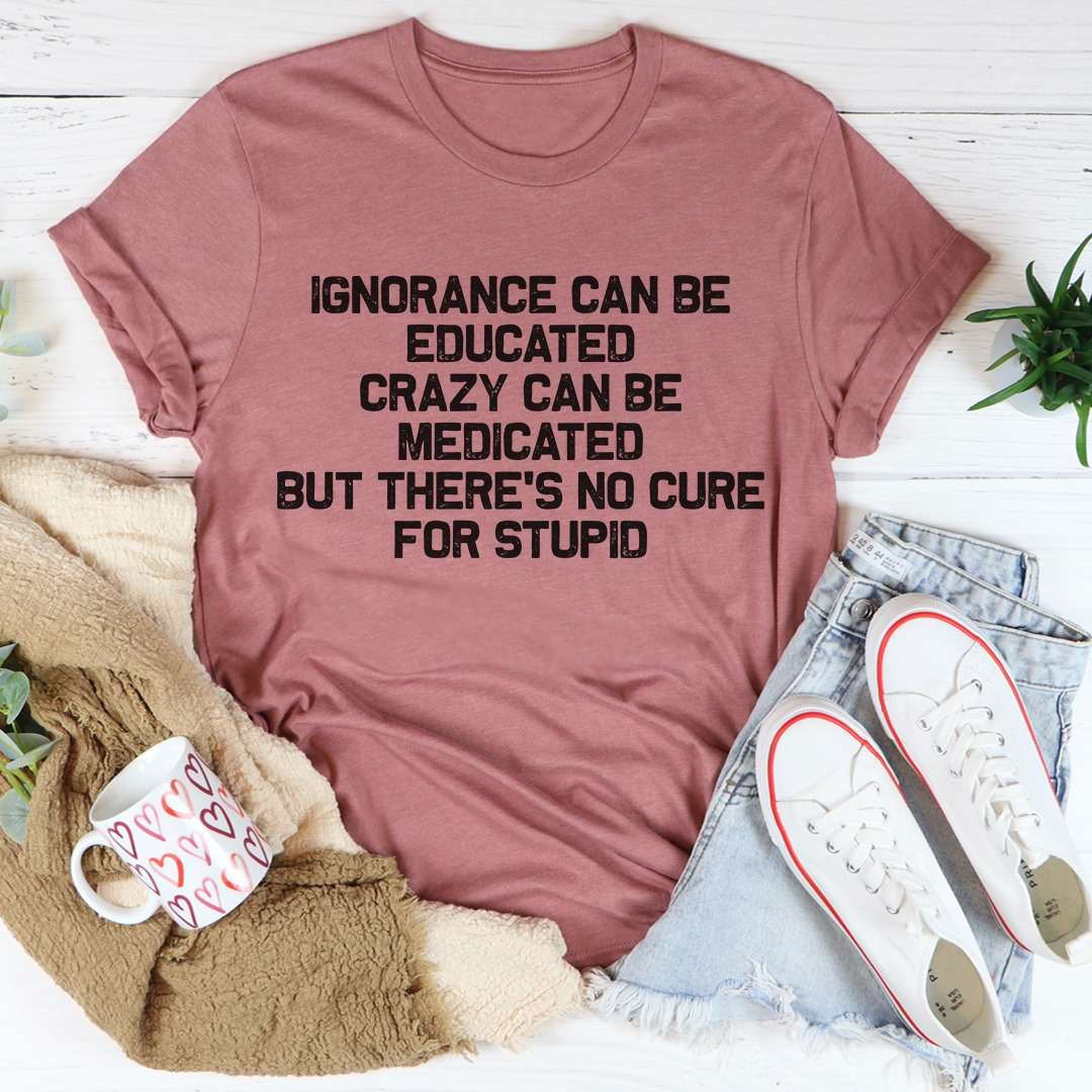 Ignorance can be educated crazy can be medicated but there's no cure for stupid