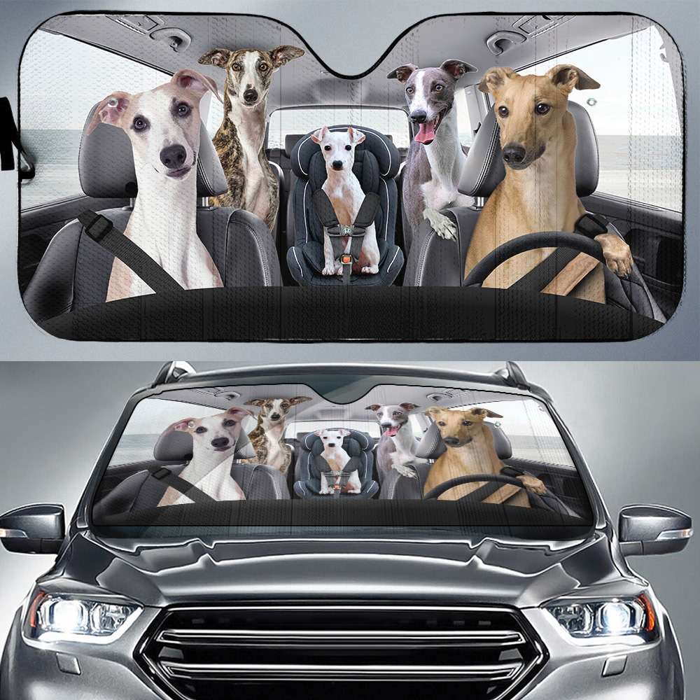 Greyhound Dog - Dog Family, Greyhound Autosun