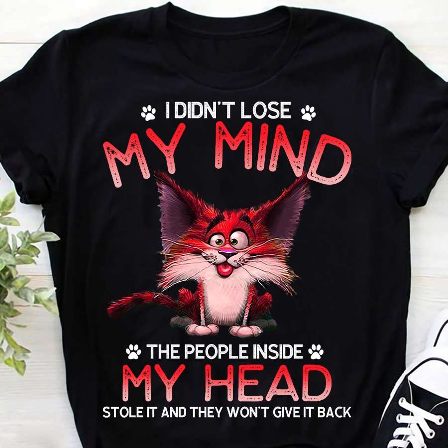 I didn't lose my mind the people inside my head stole it and they won't give it back - Crazy cat