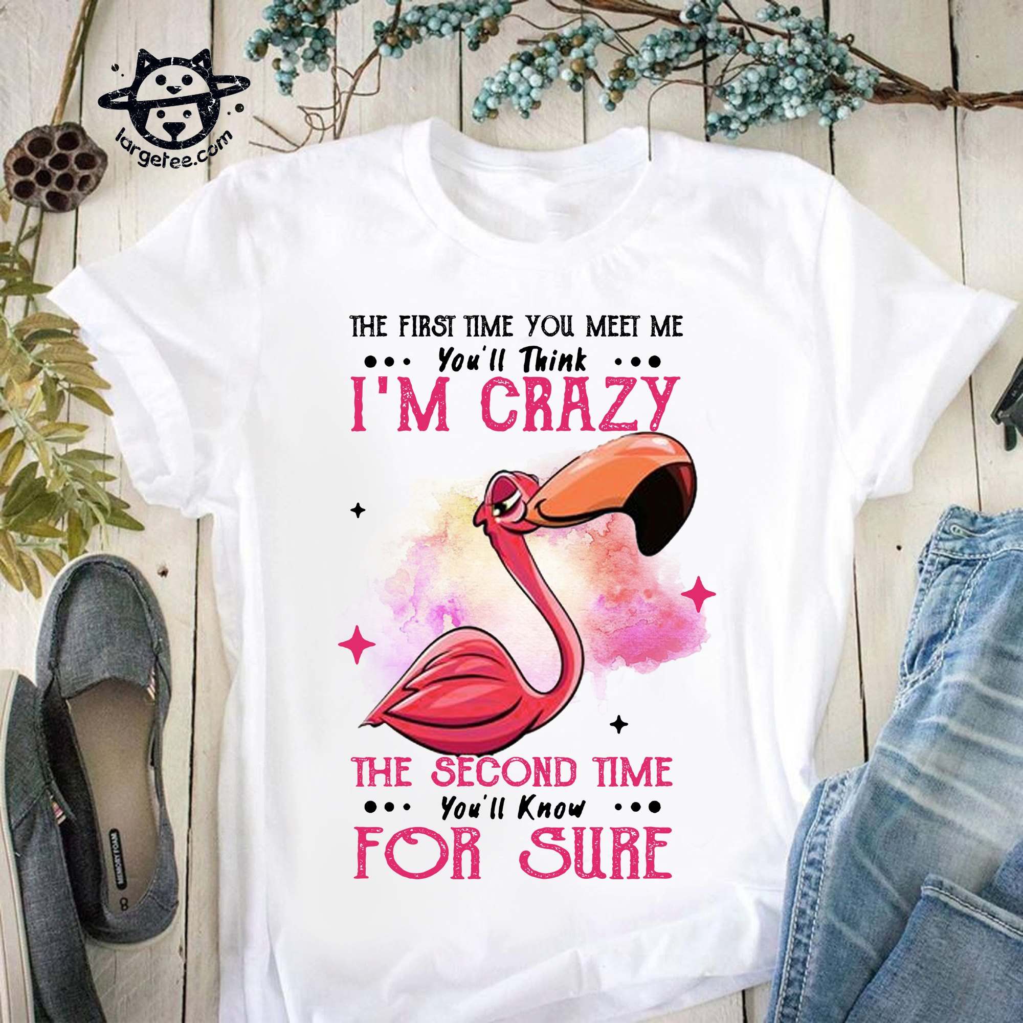 The first time you met me, you'll think I'm crazy the second time you'll know for sure - Crazy flamingo