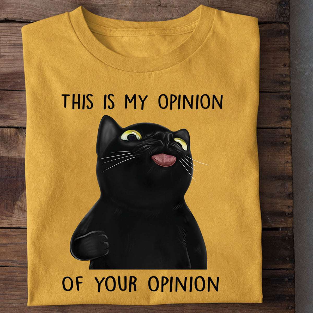 Funny Black Cat - This is my opinion of your opinion