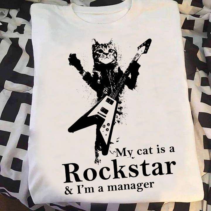 Rockstar Cat - My cat is rockstar and i'm a manager