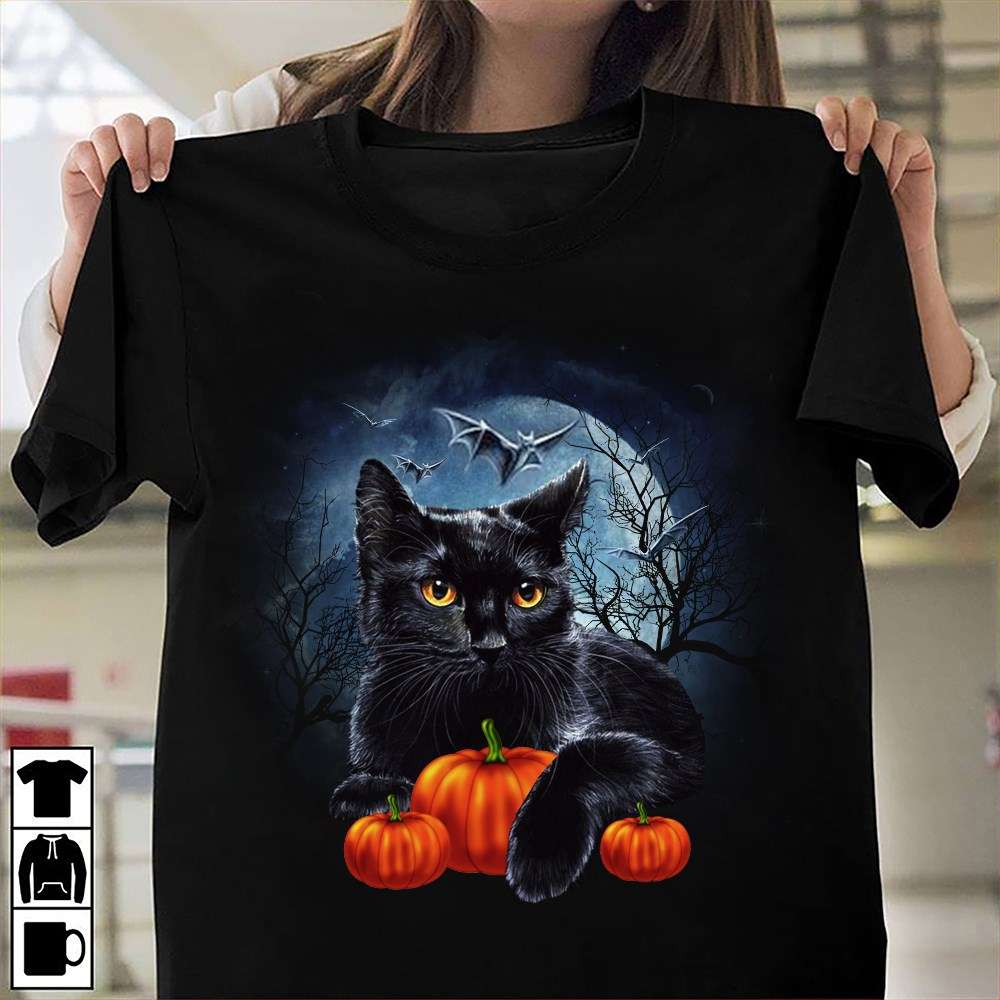 Black Cat Pumpkin - Halloween Costume, Black Cat In The Dark