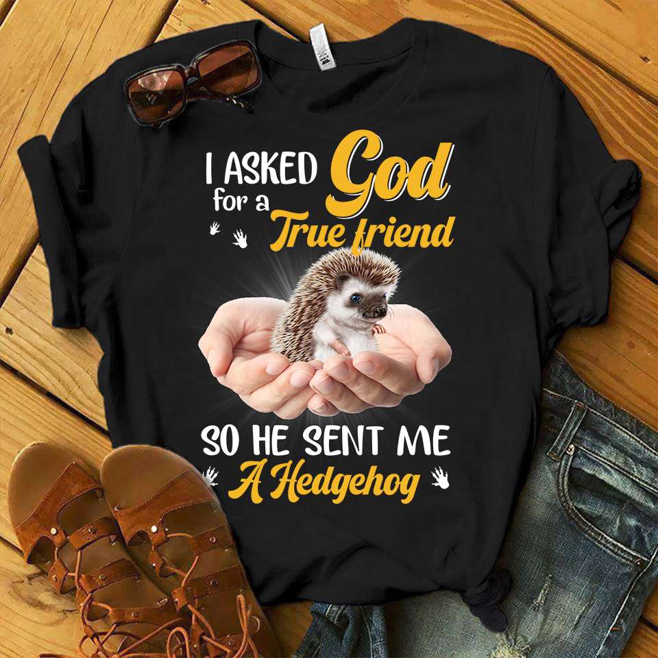 Love Hadgehog - I asked god for a true friend so he sent me a hedgehog