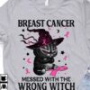 Breast Cancer Cat - Breast cancer messed with the wrong witch