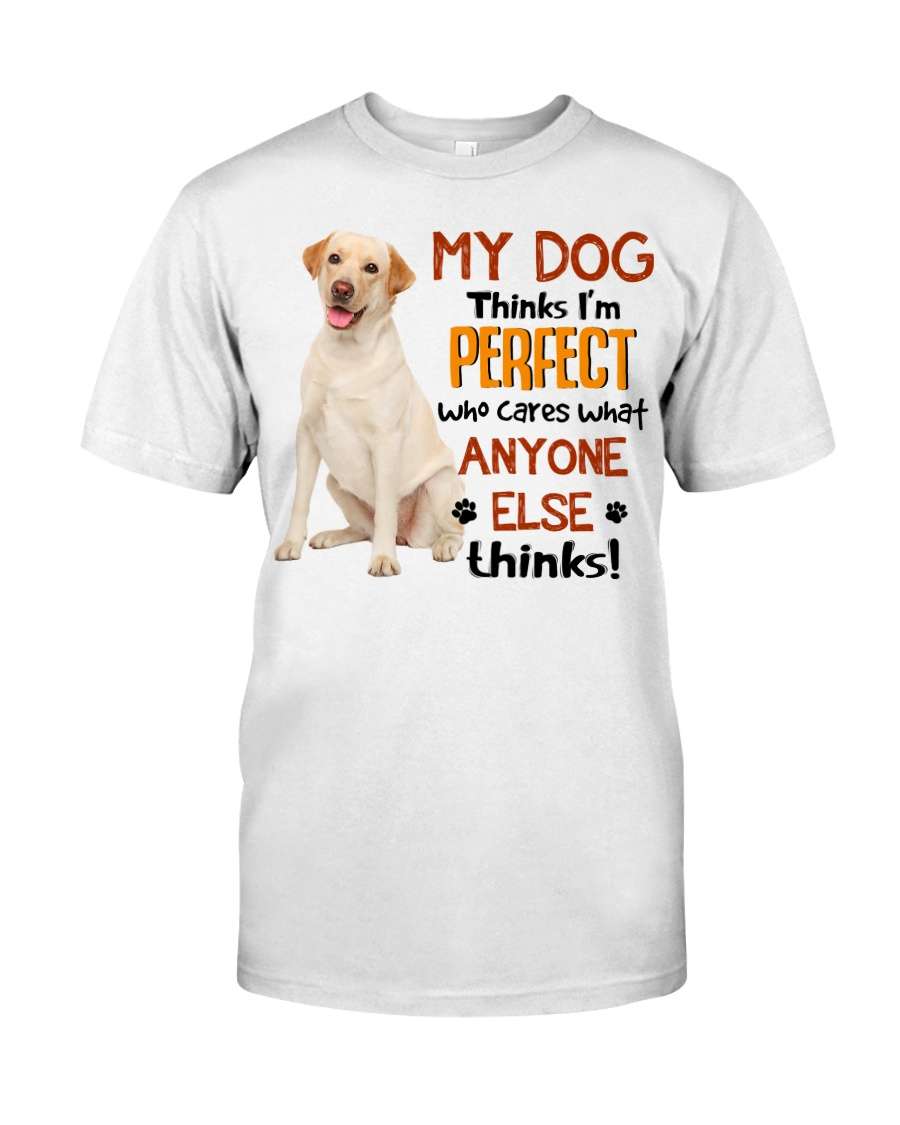 Labrabor Retriever - My dog thinks i'm perfect who cares what anyone alse thinks