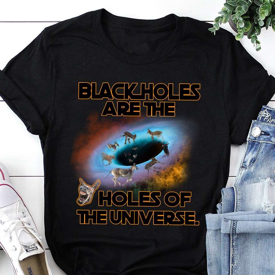 Blackholes Donkey - Blackholes are the holes of the universe
