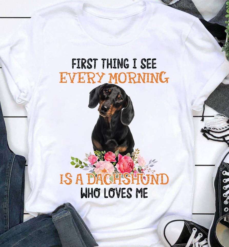 Dachshund Dog - First thing i see every morning is a dachshund who loves me
