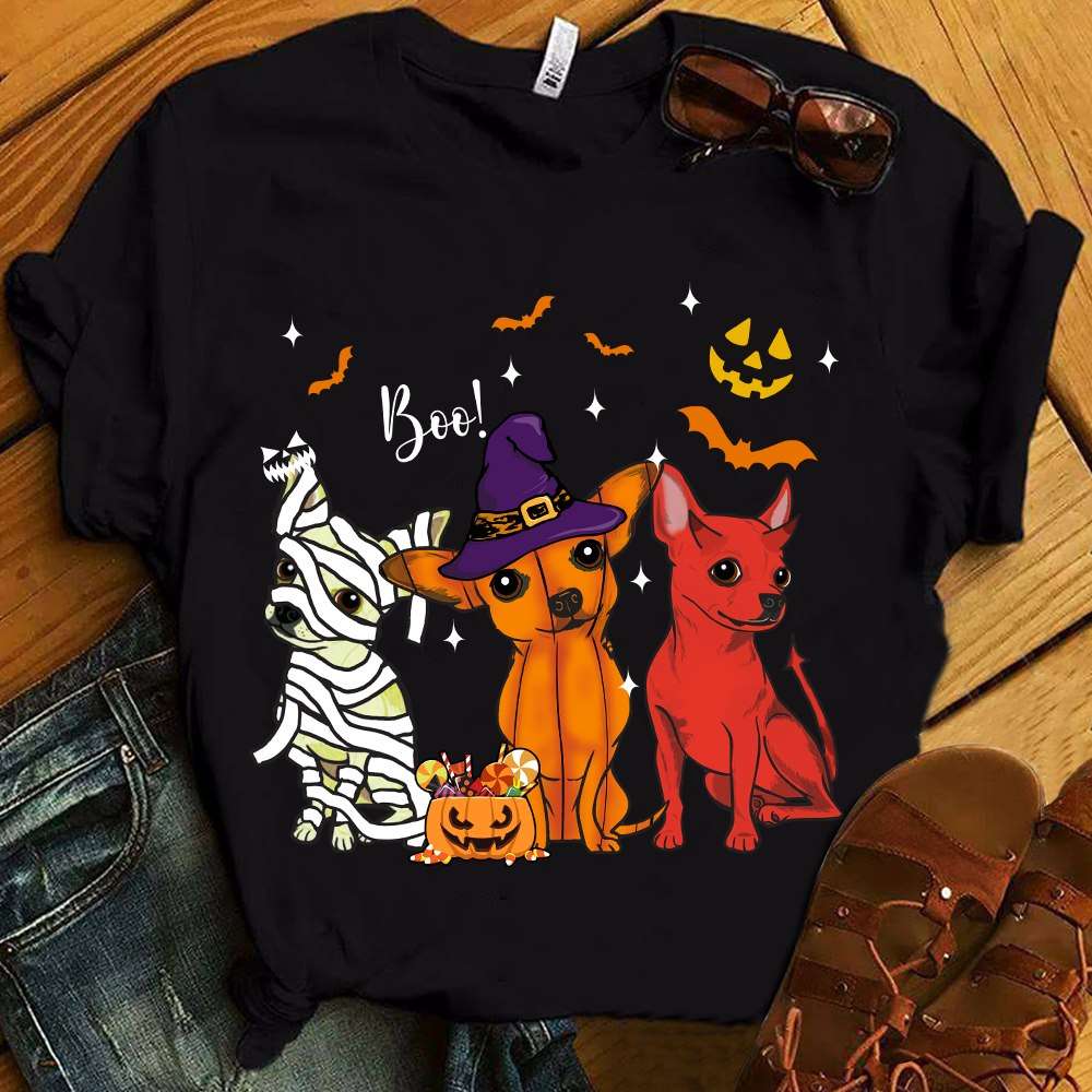 Witch Dachshund, Halloween Costume - Dachshund in the halloween night