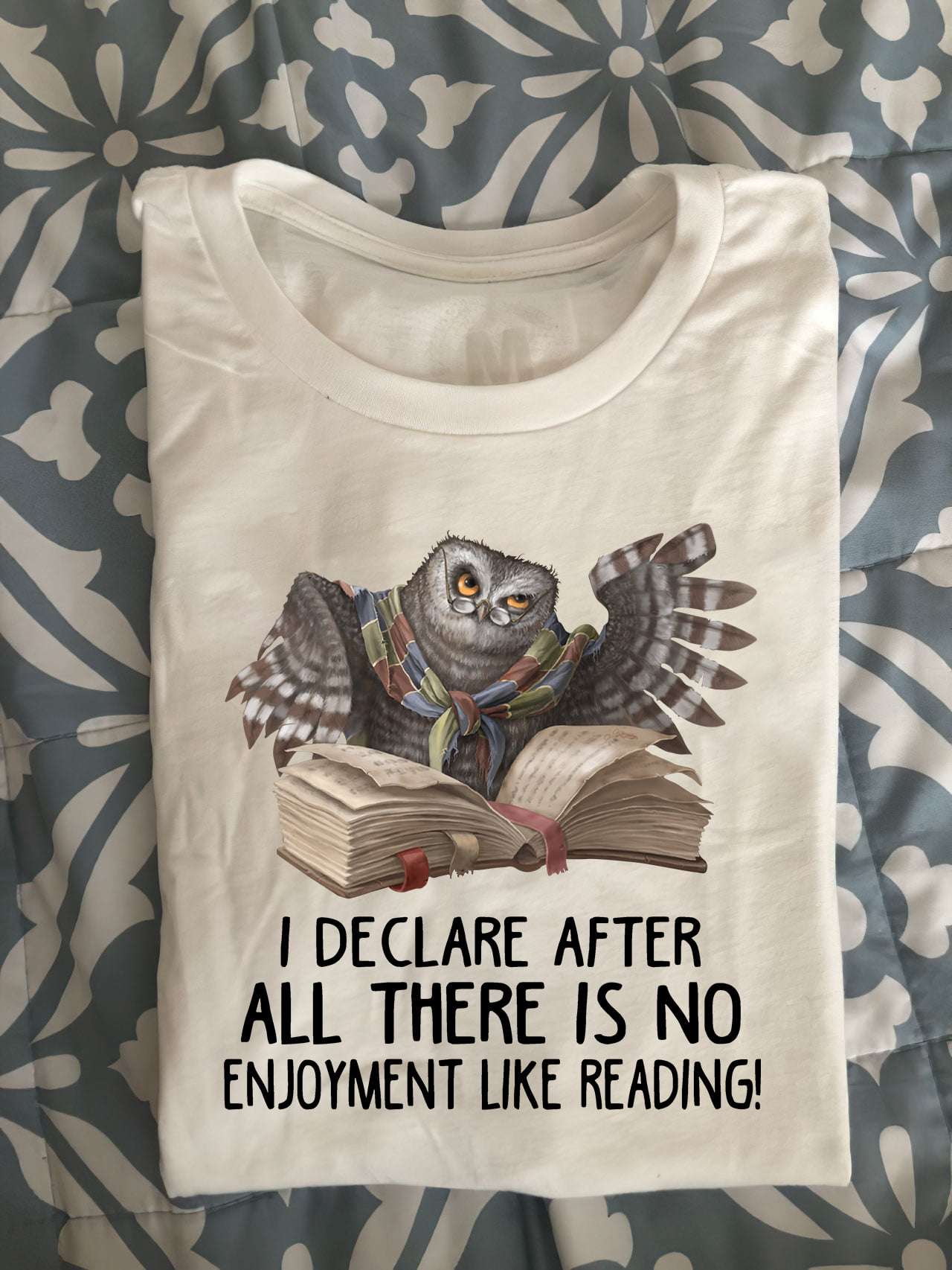 Owl Read Book, Back To School - I declare after all there is no enjoyment like reading