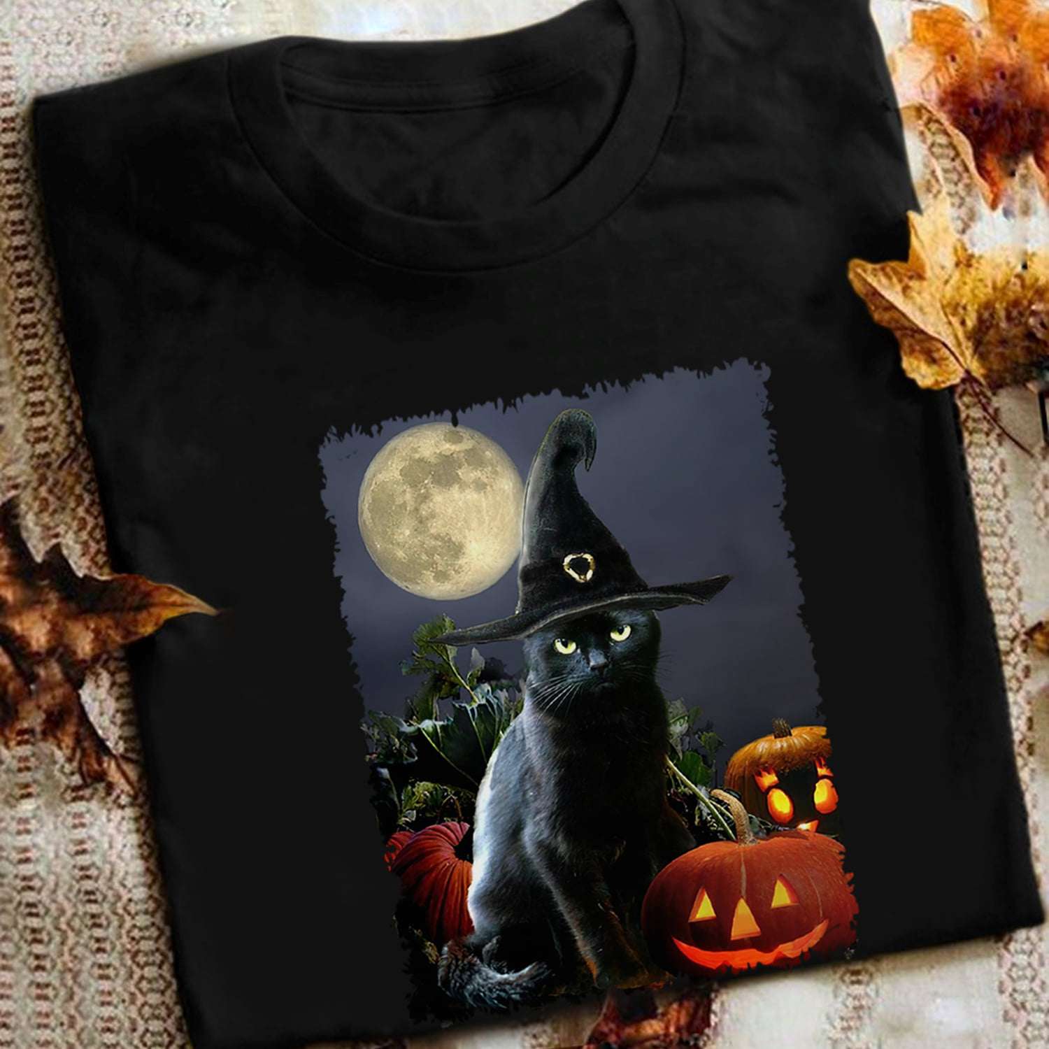 Witch Balck Cat, Halloween Costume - Halloween Pumpkin, Halloween Night