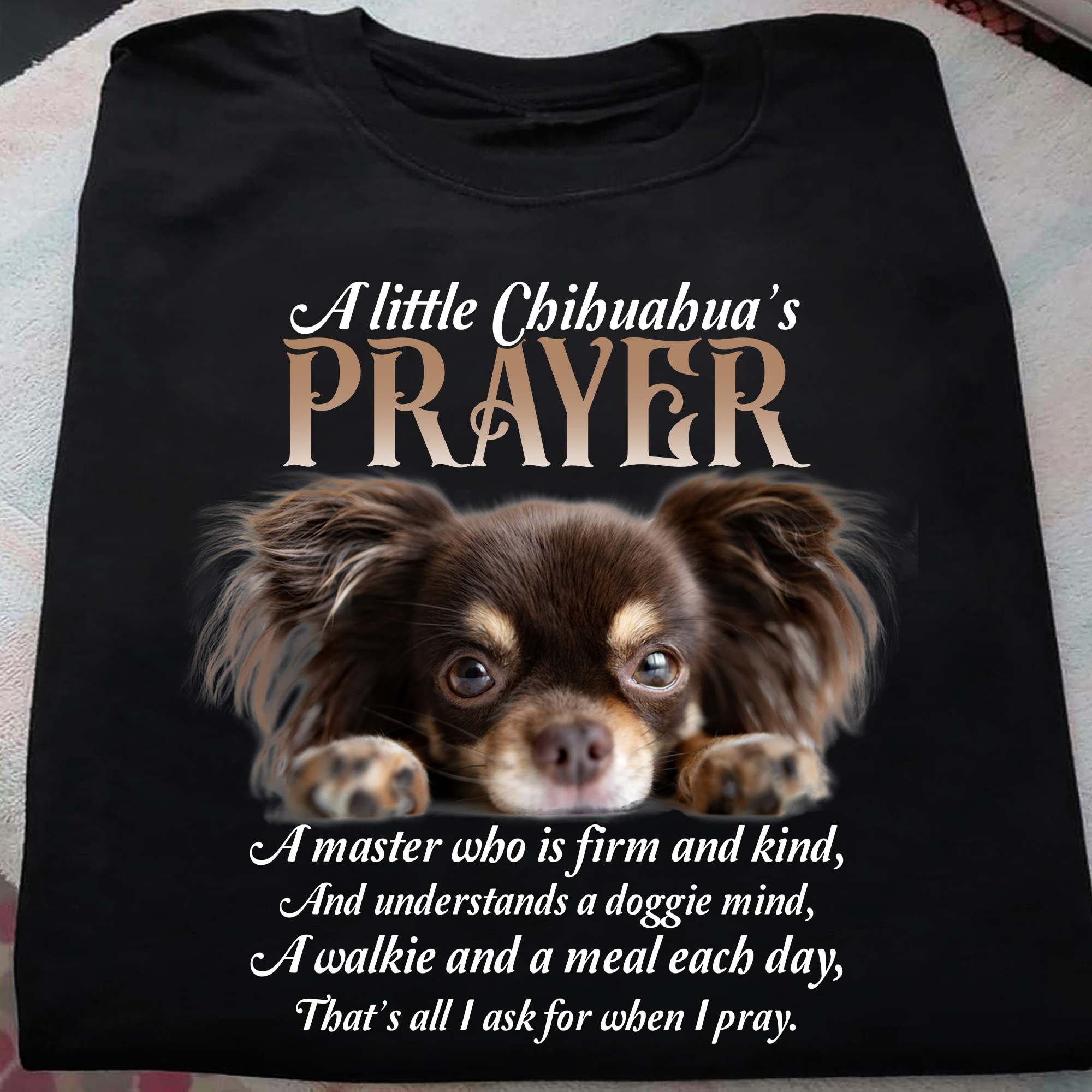 A little Chihuahua's prayer - A master who is firm and kind, understands a doggie mind