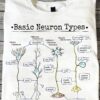 Basic Neuron Types - cell body, axon terminals, node of ranvier, myelin sheath