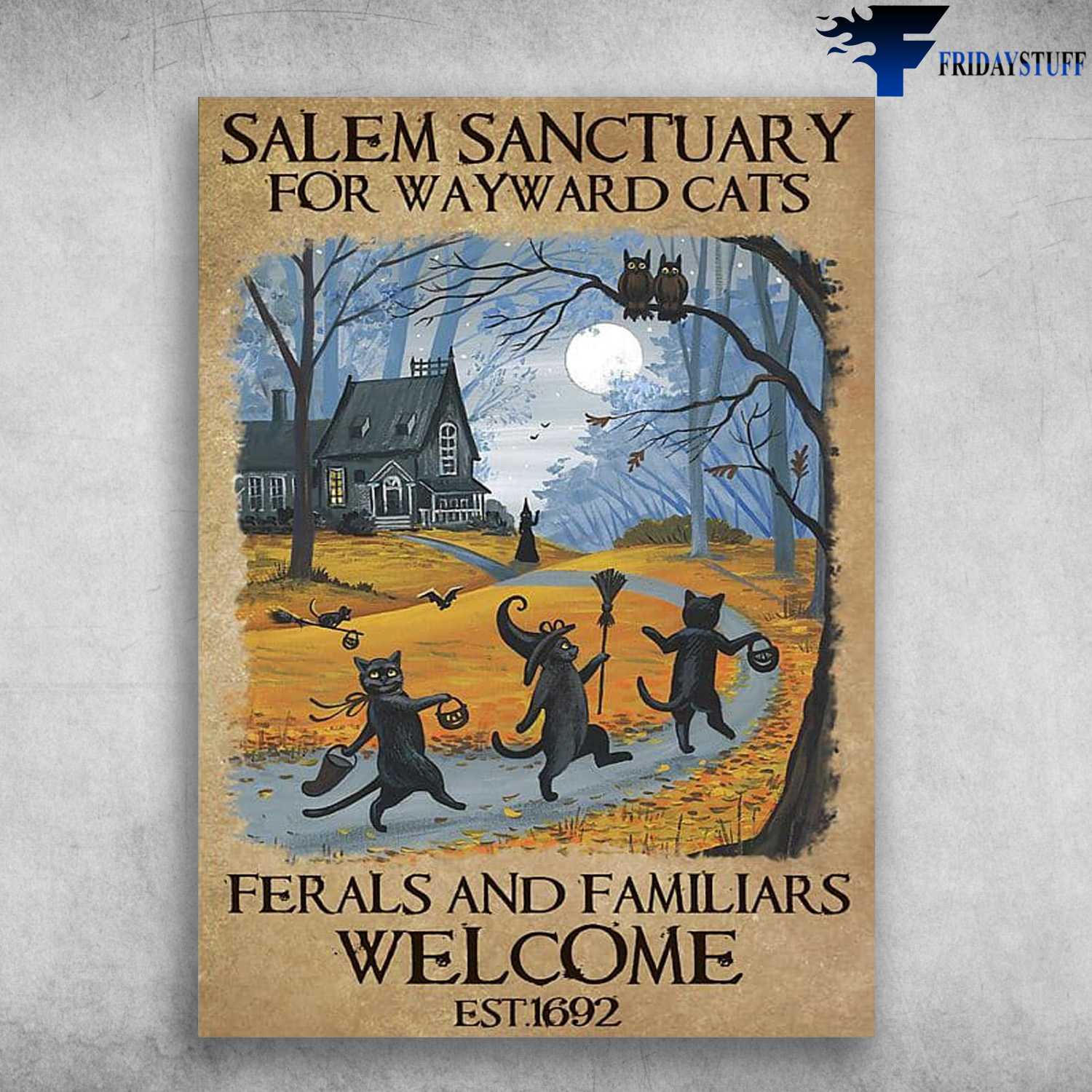 Black Cat Halloween - Salem Sanctuary For Wayward Cats, Ferals And Familiars, Welcome, Witch Cat