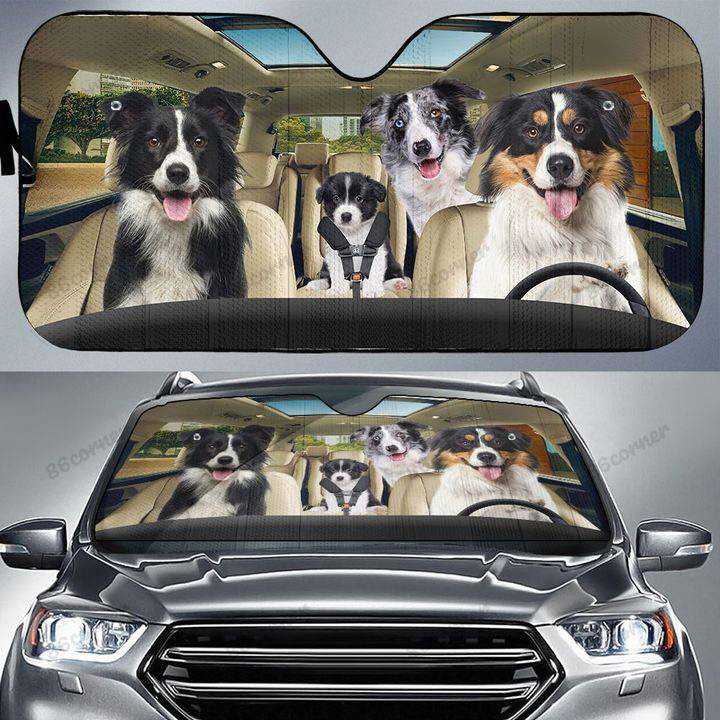 Border Collie - Dog Family Autosun