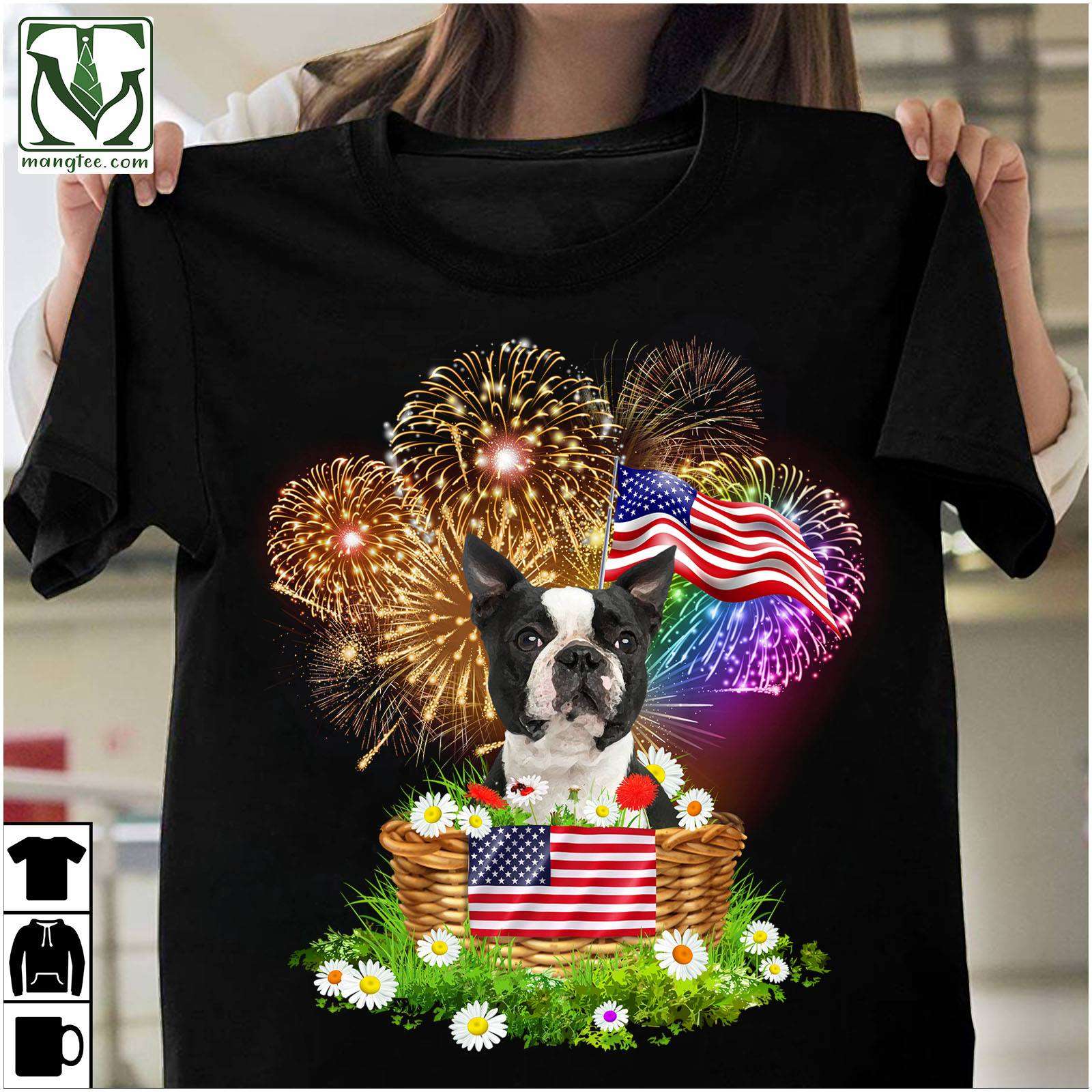 Boston Terrier - Firework American flag