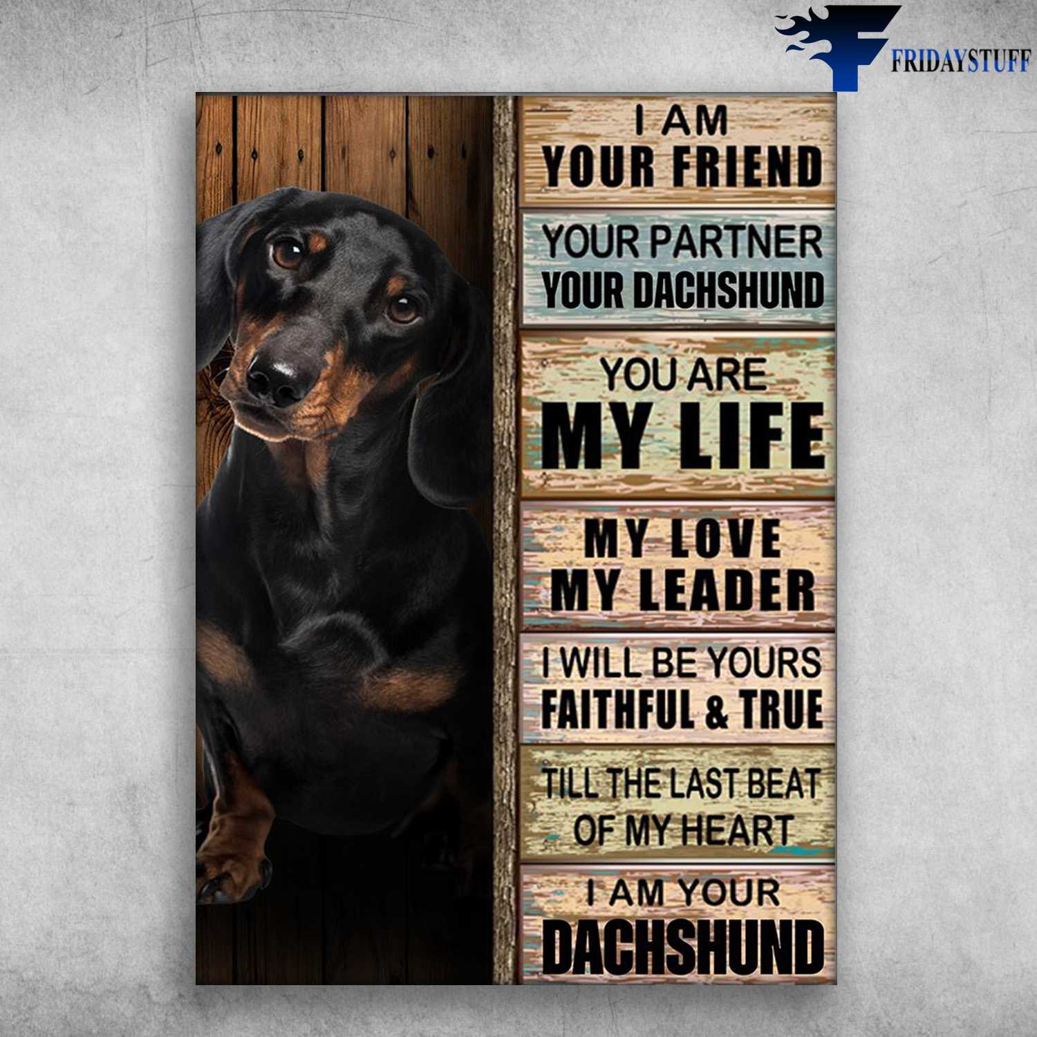 Dachshund Dog - I Am Your Friend, Your Partner, Your Dachshund, You Are My Life, My Love, My Leader, I Will Be Yours Faithful And True, Till The Lass Beat Of My Heart, I Am Your Dachshund