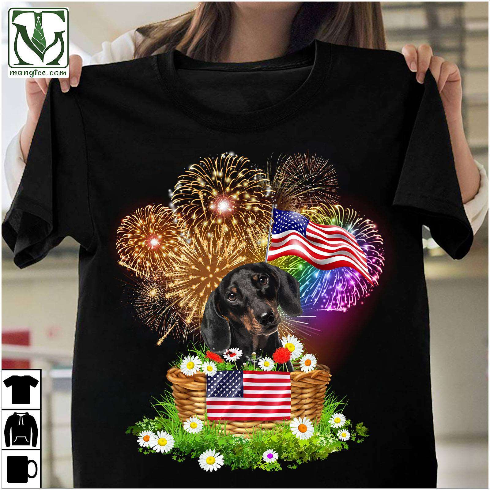 Dachshund Dog - Firework American flag