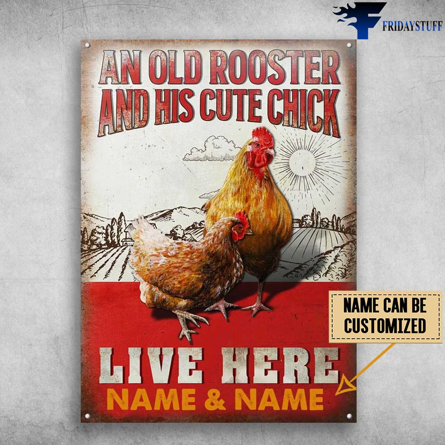 Farm Chicken - An Old Rooster And His Cute Chick, Live Here