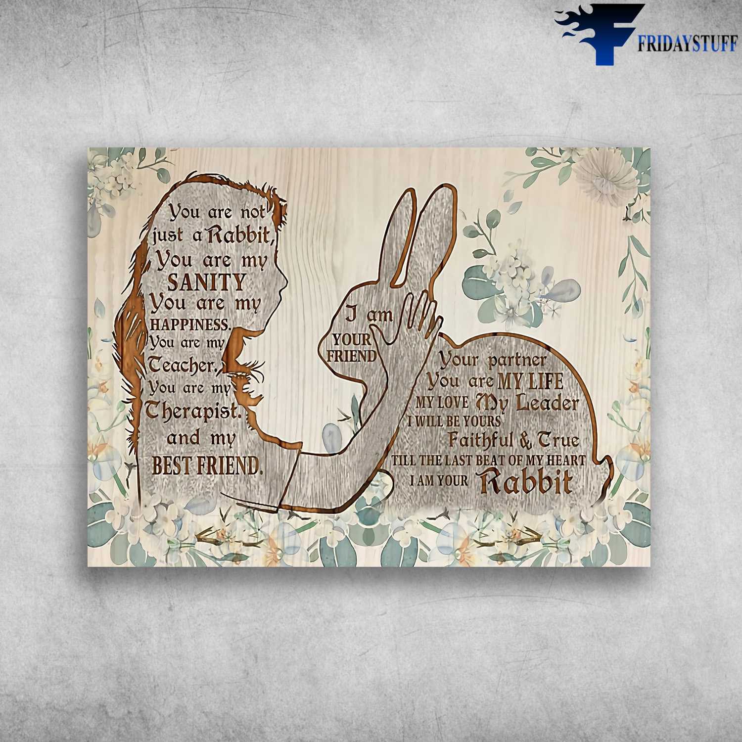 Girl And Rabbit, Bunny Lover - You Are Not Just A Rabbit, You Are My Sanity, You Are Happiness, You Are My Teacher, You Are My Therapist, And My Bestfriend, I Am Your Friend