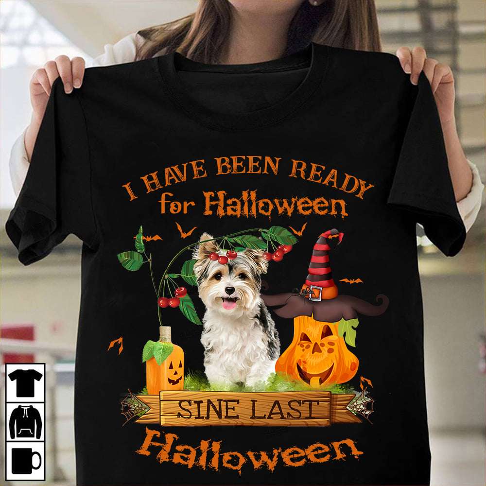 I have been ready for Halloween since last Halloween - Shih Tzu dog, Halloween pumpkin