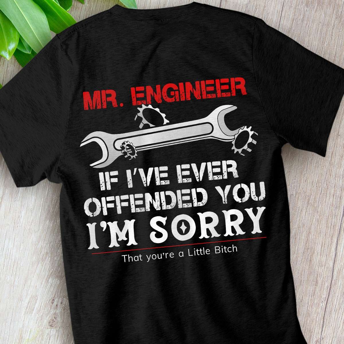Mr. Engineer If I've ever offended you I'm sorry that you're a little bitch - Engineer fix everything