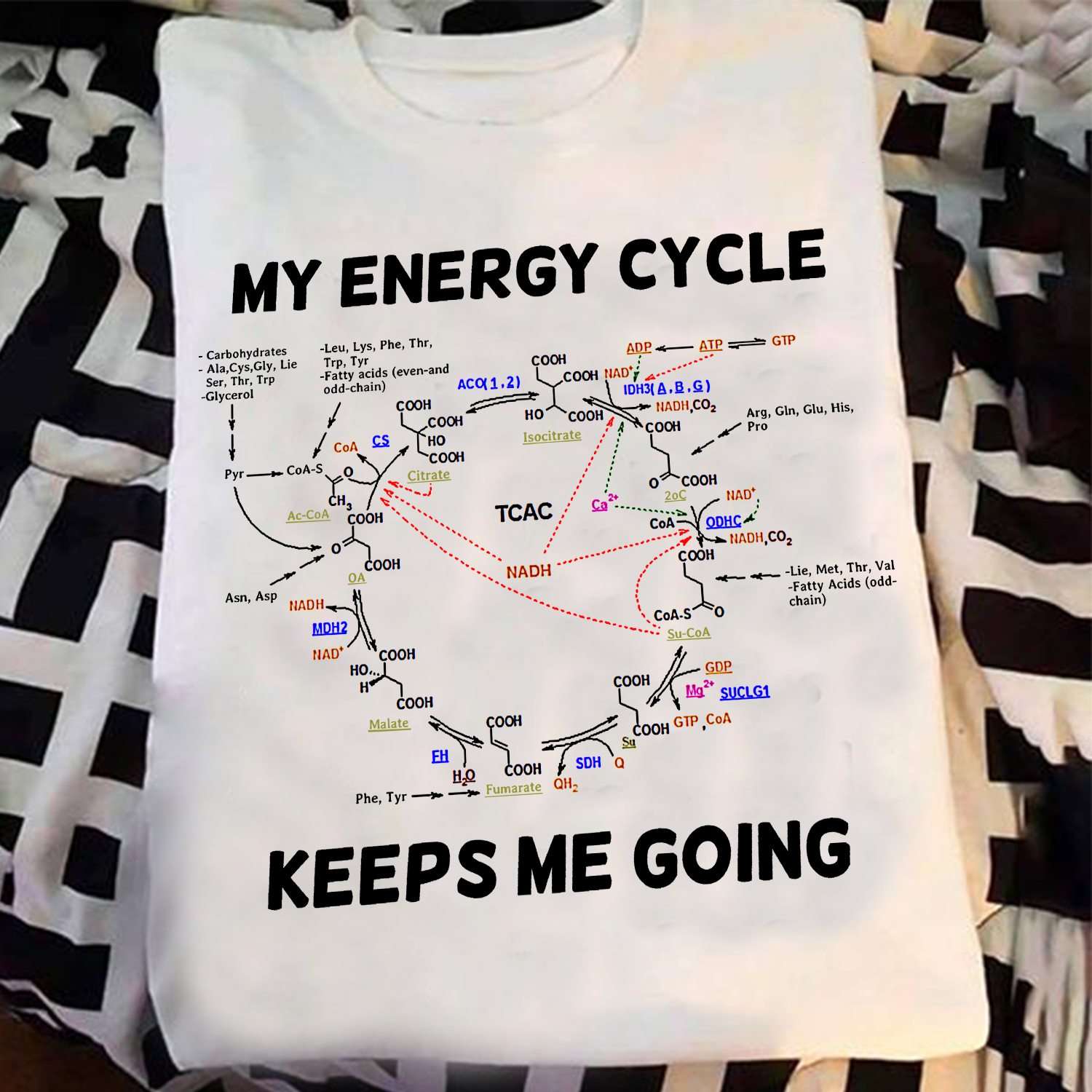 My energy cycle keeps me going - Biological knowledge