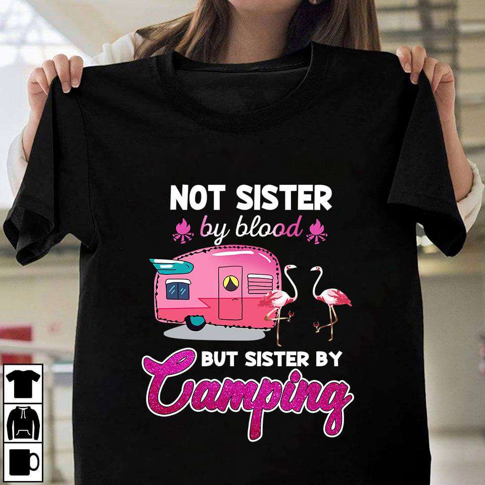 Not sister by blood but sister by camping - Flamingo sister go camping, pink camping car