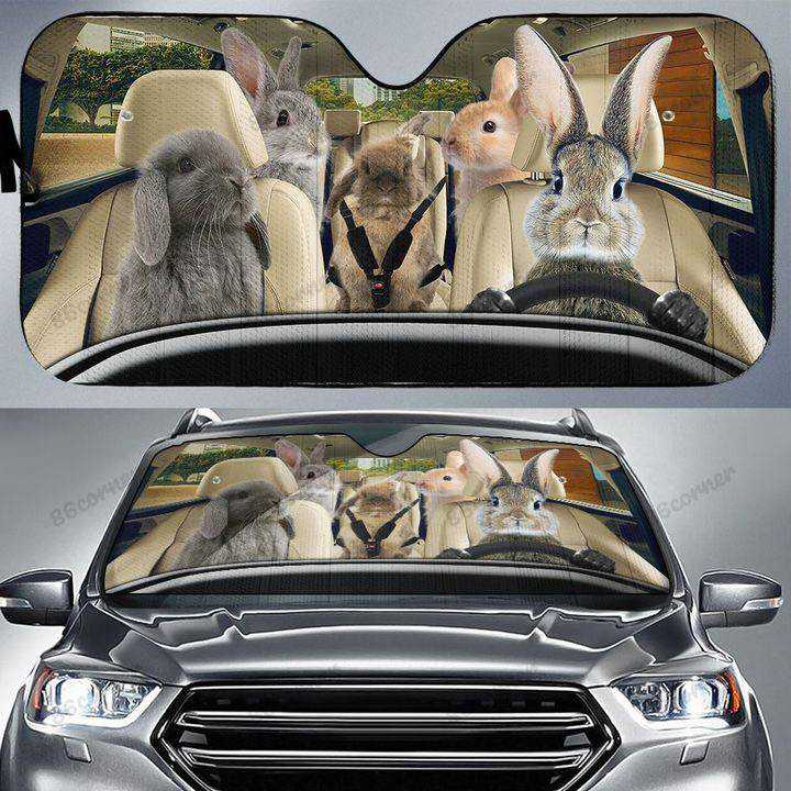Rabbit Family, Bunny Autosun