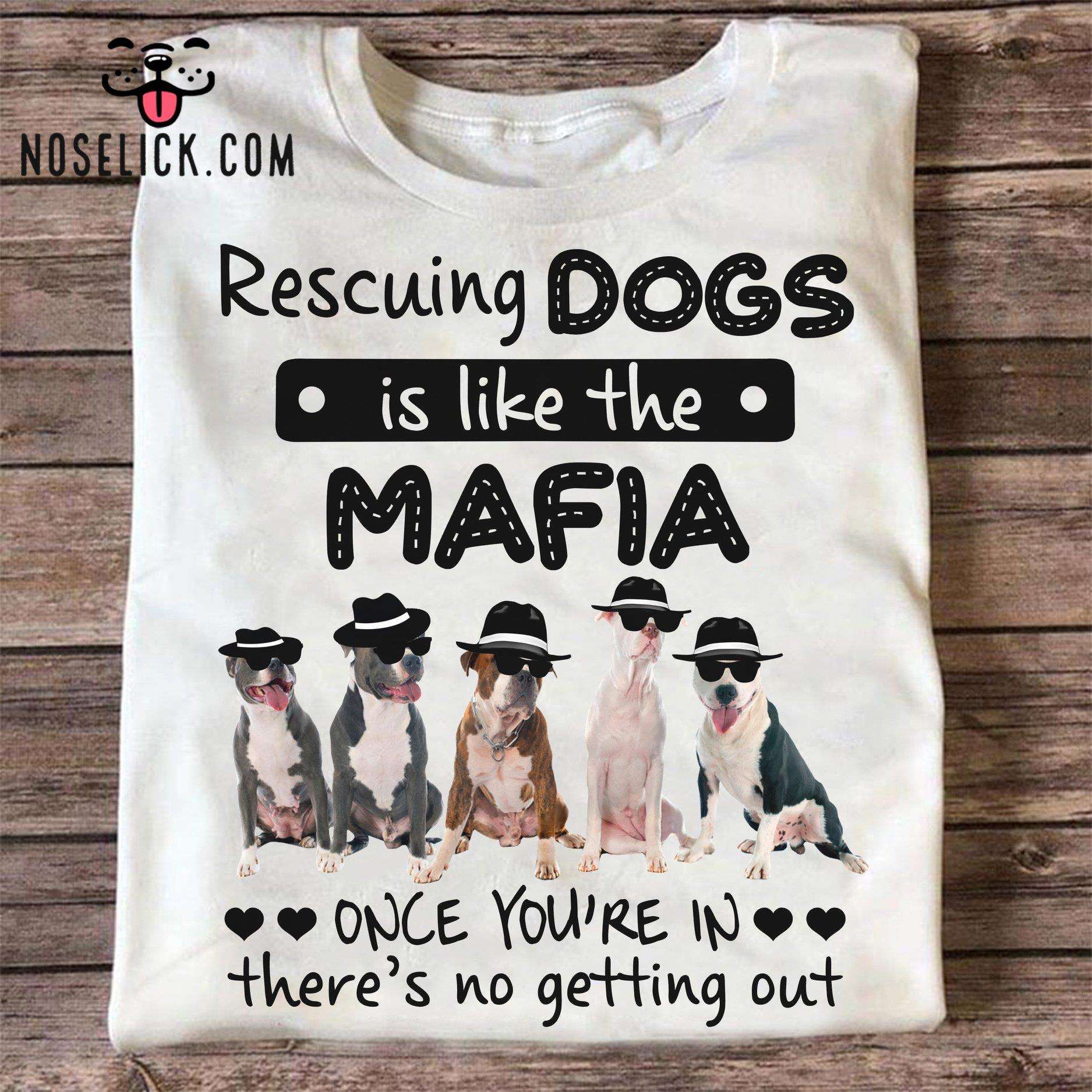 Rescuing dogs is like the mafia once you're in there's no getting out - Pitbull dog mafia