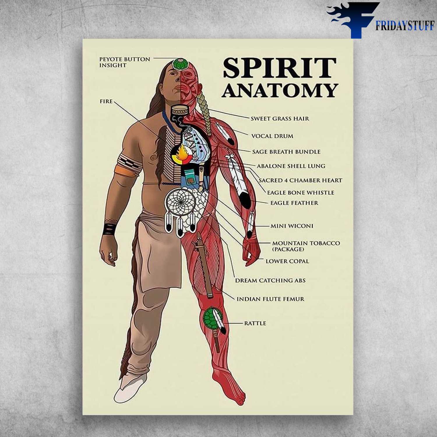 Spirit Anatomy, Native American - Peyote Button Insight, Sweet Grass Hair, Vocal Drum, Safe Breath Brum, Sage Breath Bundle, Abalone Sheel Lung