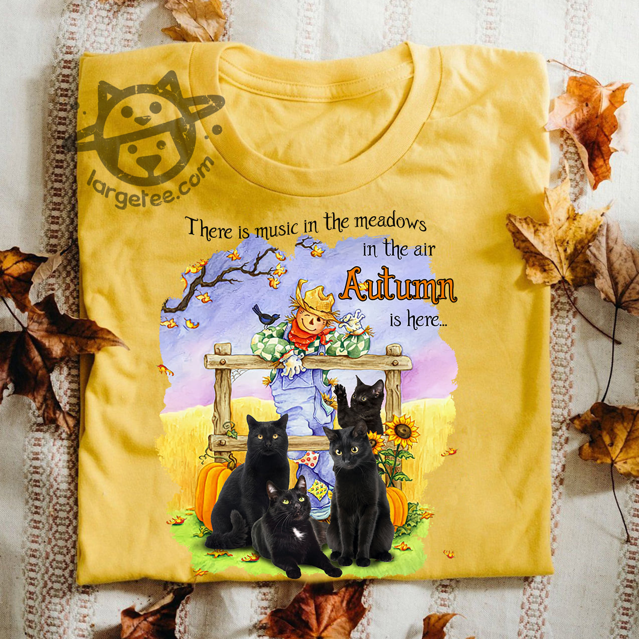 There is music in the meadows in the air Autumn is here - Autumn cat, Autumn dummy and cat