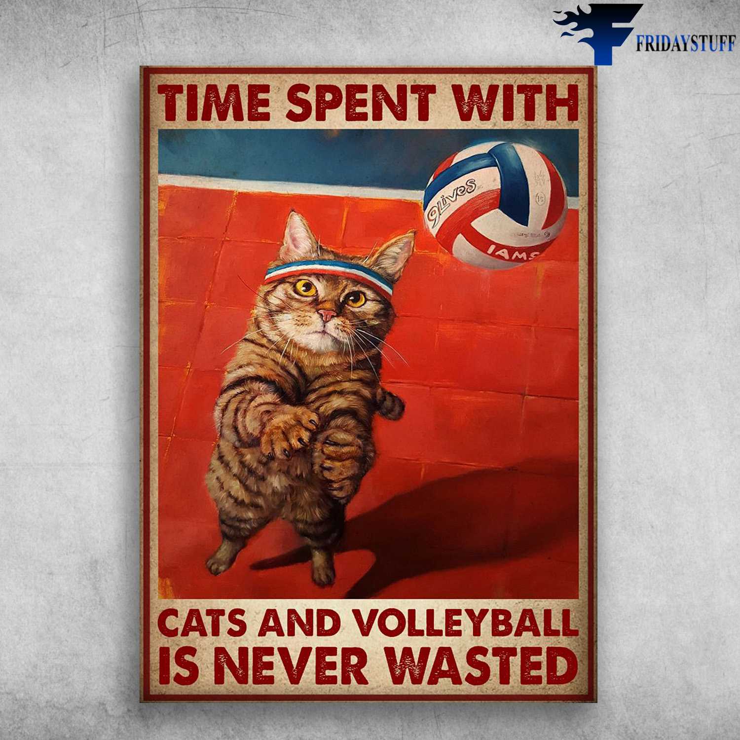 Volleyball Cat - Time Spent With, Cat And Volleyball, Is Never Wasted