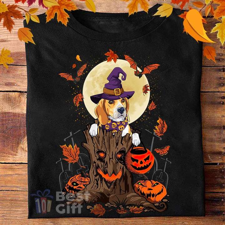 Beagle Witch - Pumpkin Halloween, Halloween Costume