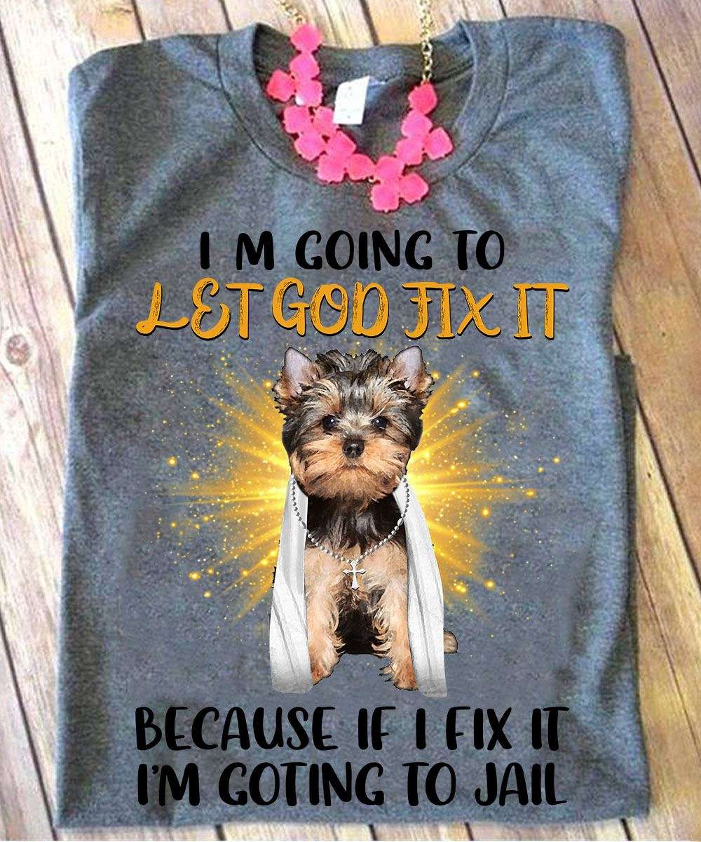 God's Yorkshire Terrier - I'm going to let god fix it because if i fix it i'm going to jail