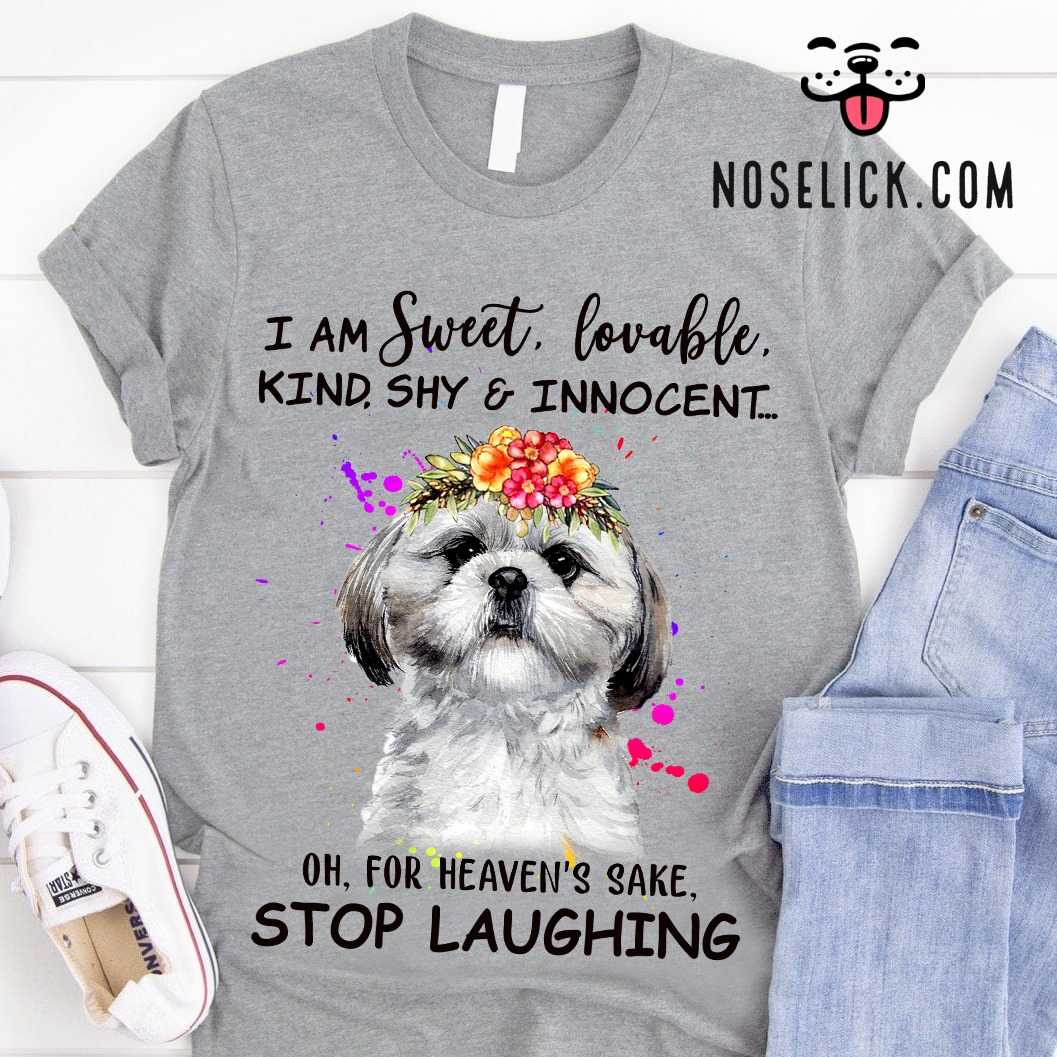 Sweet Shih Tzu - I am sweer lovable kind shy and innocent oh for heaven's sake stop laughing