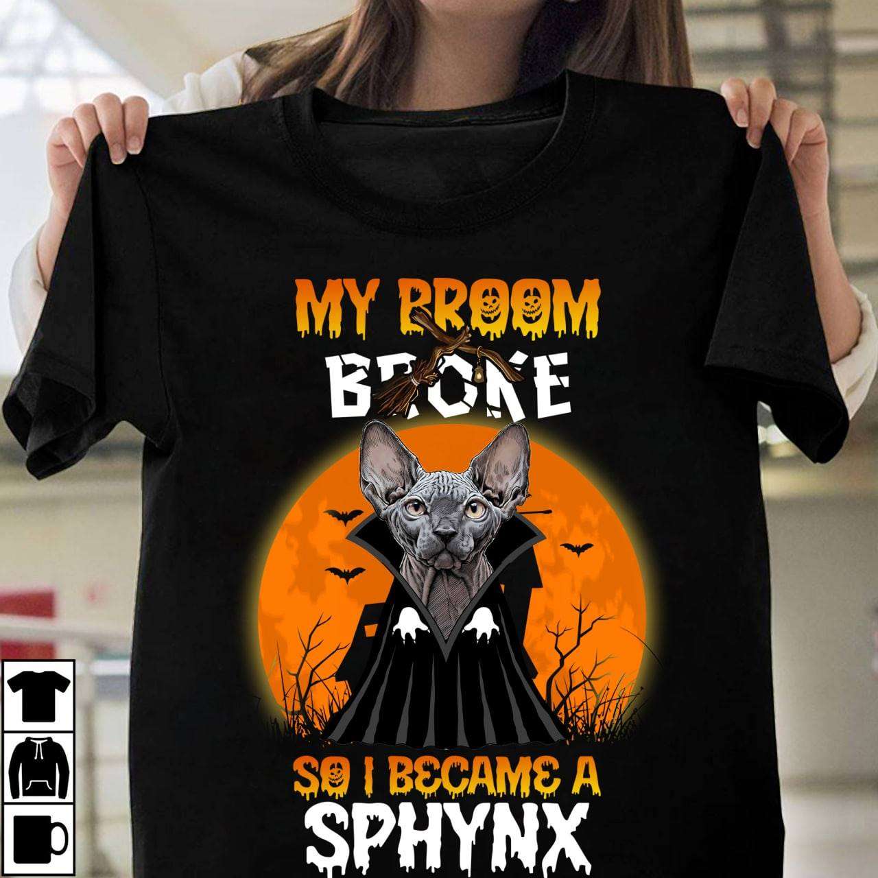 Sphynx Cat - My broom broke so i became a sphynx