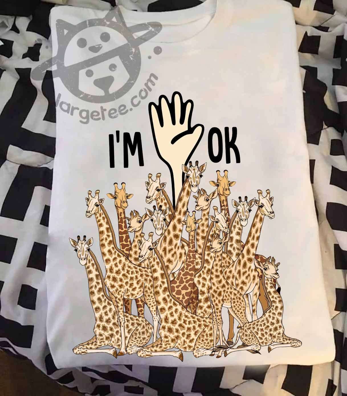 Giraffe With Person, Herd Of Giraffes - I'm OK