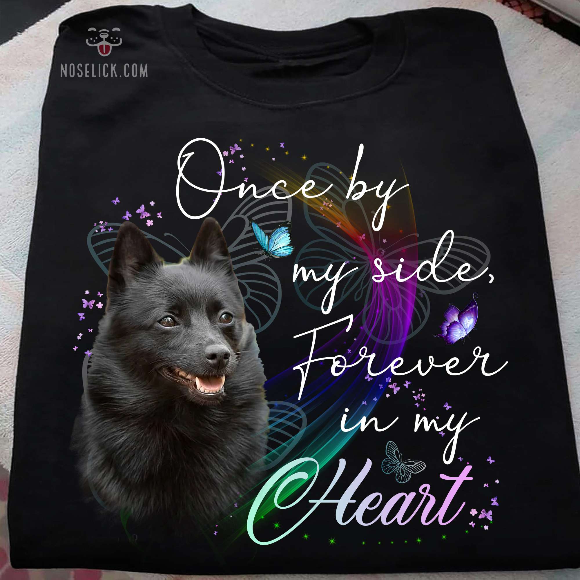 Schipperke Dog - Once by my side forever in my heart