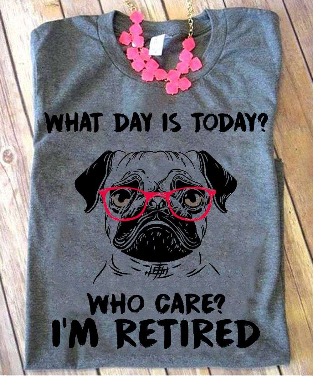Pug Dog - What day is today? Who cares? I'm retired