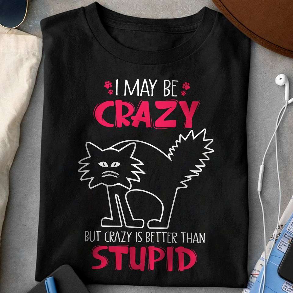 Crazy Black Cat - I may be crazy but crazy is better than stupid
