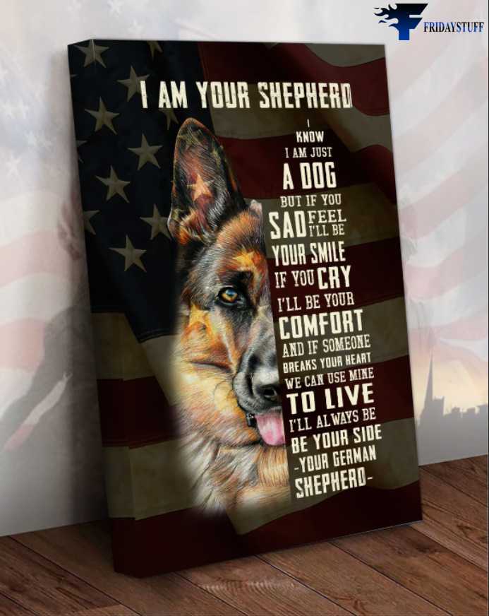 American Dog, Shepherd Dog - I Know I Am Just A Dog, But If You Feel Sad, I'll Be Your Smile, If You Cry, I'll Be Your Comfort, And If Someone Breaks Your Heart, We Can Use Mine To Live