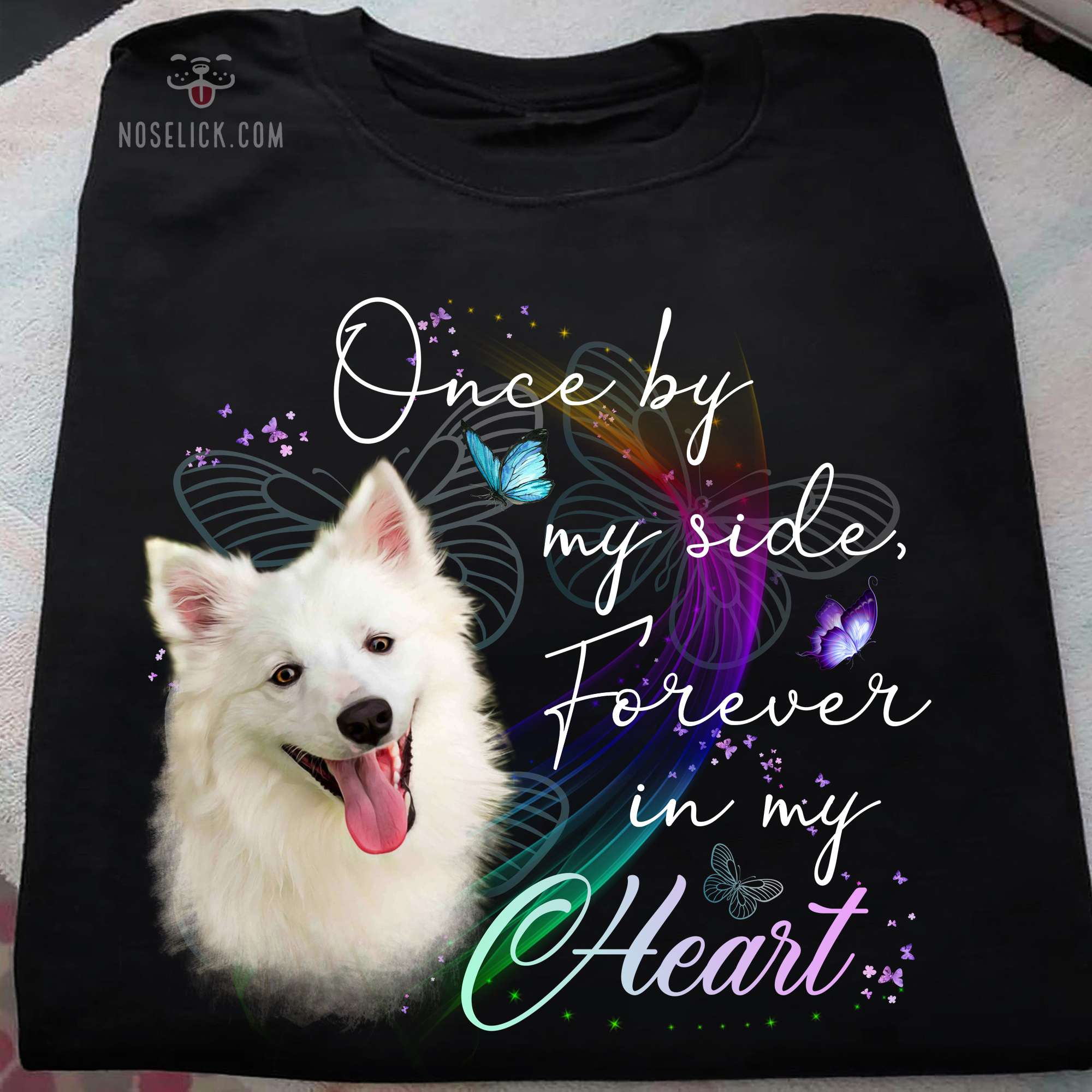 American Eskimo Dog - Once by my side forever in my heart